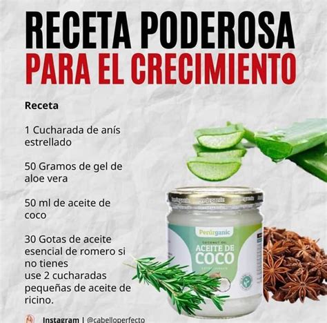 Los 26 Mejores Remedios Caseros Para Tu Cabello ️ 【lo Mejor D Productos Naturales Para El