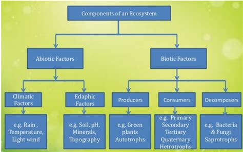 Our Environment Cbse Class 10 Science Notes Chapter 15