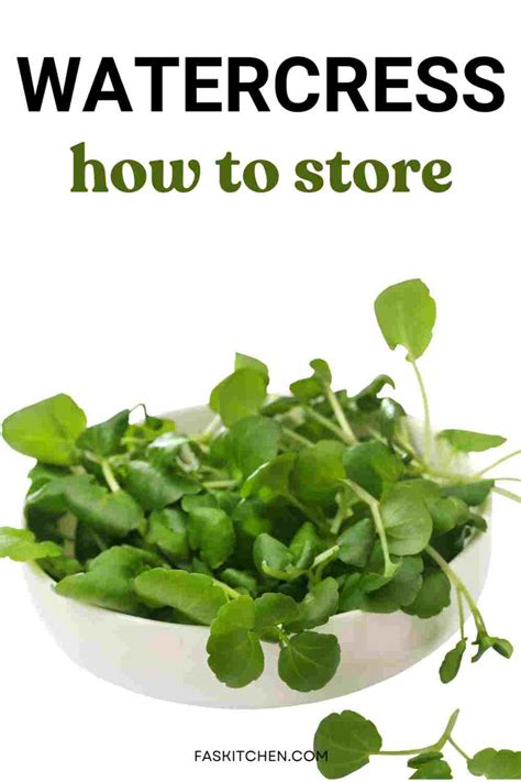 Watercress 101 Benefits How To Use Buy Store In Easy Way Fas Kitchen