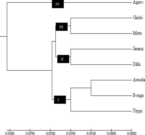 UPgMA Dendrogram Using Nei S Unbiased Genetic Distance Among Eight