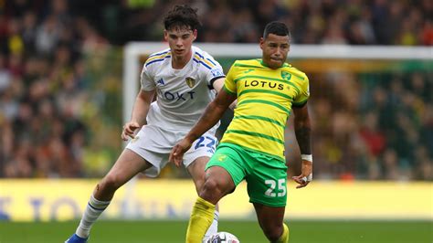 Leeds Vs Norwich Tips And Predictions Back Goals And Both Teams To