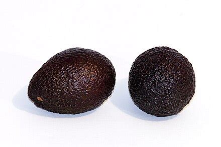 Hass avocado - Wikipedia