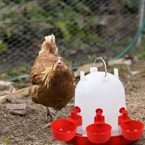 X Eau Tetine Poulet Alimentateur Abreuvoir Poulet Automatique