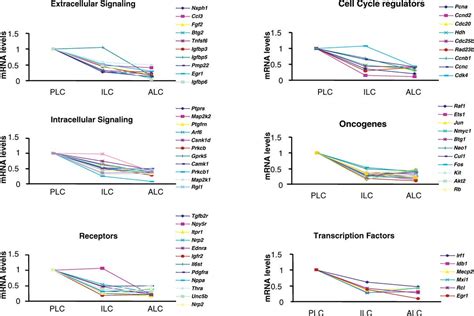 Gene Expression In Rat Leydig Cells During Development From The