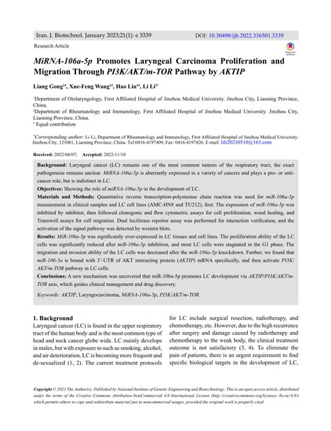 Pdf Mirna 106a 5p Promotes Laryngeal Carcinoma Proliferation And