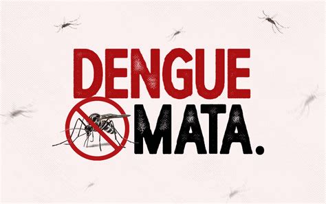 Jornal O Victoriano de Avaré Dengue saiba o que fazer em caso de