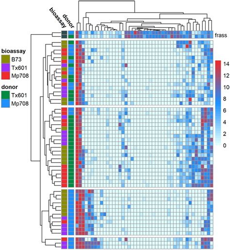 Heatmap Showing Abundance And Distribution Of The 100 Most Prevalent Download Scientific