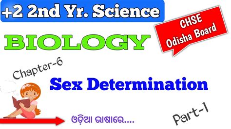 Sex Determination 2 2nd Year Biology Chapter 6 Science Youtube