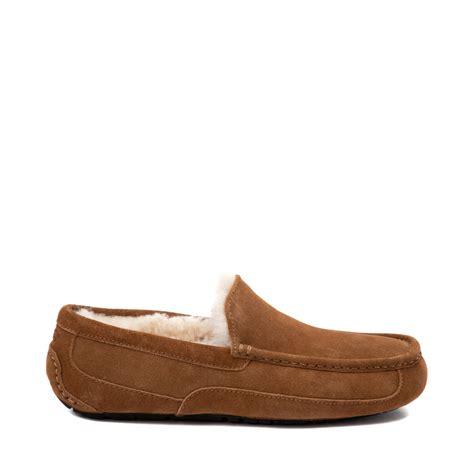 Mens Ugg Ascot Slipper Chestnut Journeys