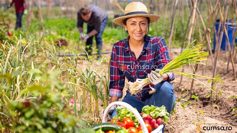 Cum Sa Faci O Afacere In Agricultura Idei Cu Buget Redus Cumsa Ro