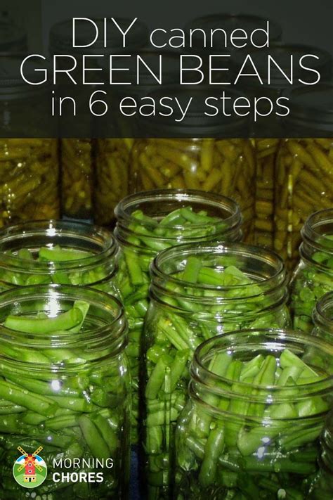 Canning Green Beans 6 Steps To Can Green Beans The Right Way In 2024