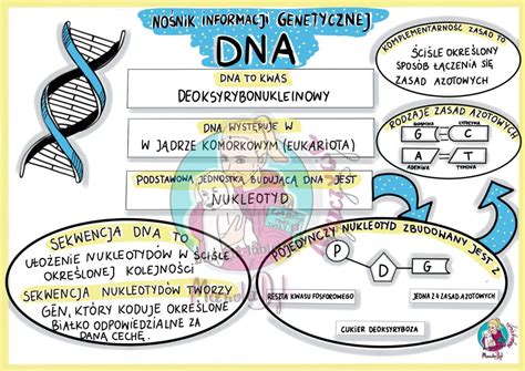 No Nik Informacji Genetycznej Dna Sketchnotka Klasa Z Oty