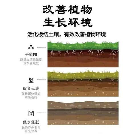 Soil Activation Treasure Mineral Source Potassium Fulvic Acid Water