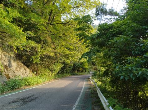 今日のインターバル 早朝1km×5本 今日のjog ～ジョグと一工夫で、速くなる～