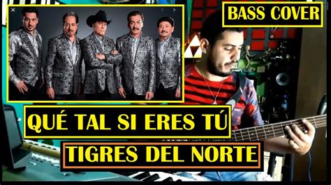 Que Tal Si Eres T Los Tigres Del Norte Bass Cover Youtube