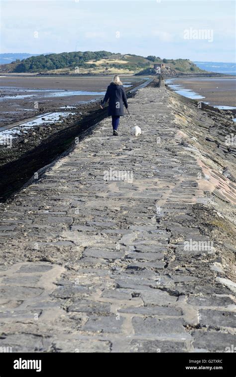 Scotland Edinburgh Cramond Causeway To Cramond Island Nature Reserve