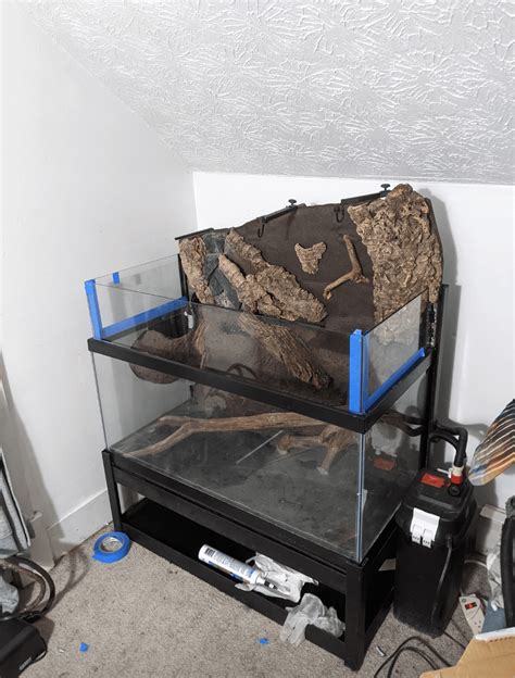 Building My 40 Gallon Turtle Hatchling Paludarium R Paludarium