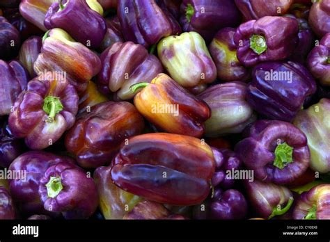 heirloom peppers  res stock photography  images alamy