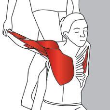 Biceps Brachii Stretch