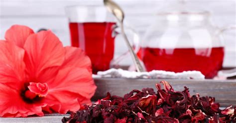 Té De Hibisco ¡propiedades Y Contraindicaciones