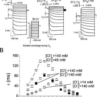 Voltage Dependent Dissociation Of Cpa From The Pore A The