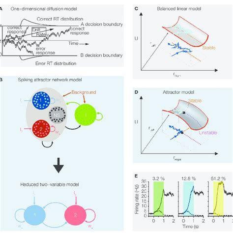 Multiple Pulse Protocol And Predictions Of The Attractor Model A