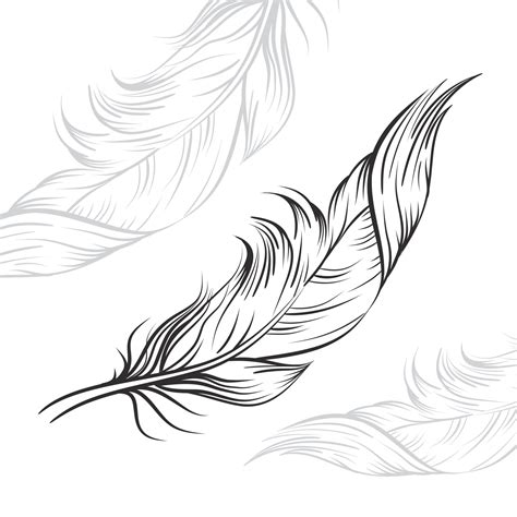 Feathers Drawing Background