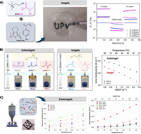 Recent Advances And Developments In Injectable Conductive Polymer Gels