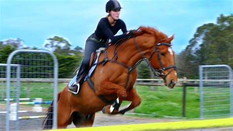 Showjumping Equestrian Compilation Ride With Me 1 Eventer Vlog