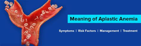 Meaning Of Aplastic Anemia Symptoms Risk Factors Management And