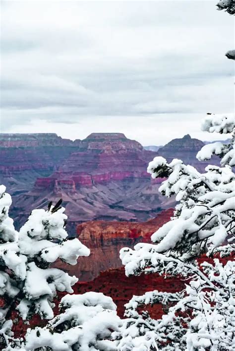 tips   grand canyon  winter amanda wanders