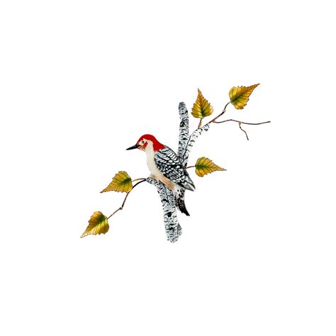 Red-Bellied Woodpecker on Birch - Dunegrass Collection