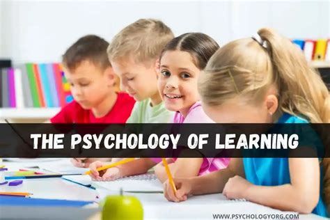 The Psychology Of Learning Theories Types Explained 2025