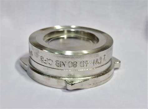 Material Ss Non Slam Disc Check Valve Size Mm At Rs