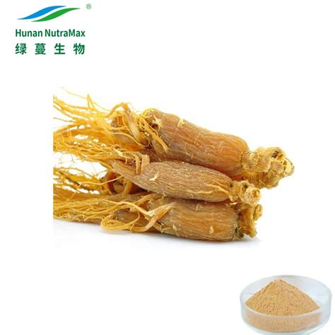 Ginsenosides Powder 5 80 Korean Red Ginseng Root Extract Panax