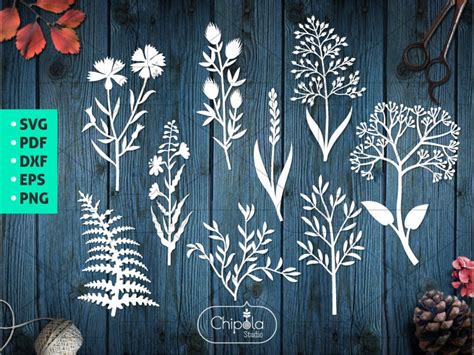 9 Wildflowers Bundle SVG Cut File Flowers Botanical Template Etsy