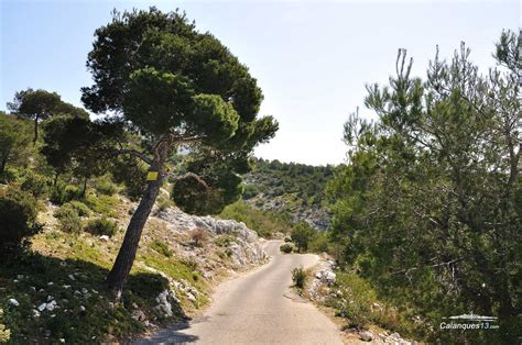 Chemin D Acc S La Calanque De Morgiou Depuis Les Baumettes