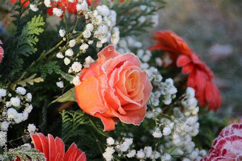 Rose In Orange Im Trauerkranz Nach Beerdigung Vati Auf Dem Friedhof Ist