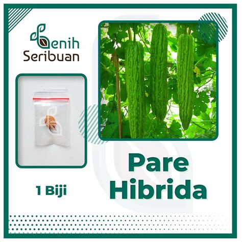 Jual Benih Seribuan Bibit Sayuran Pare F Hibrida Shopee Indonesia