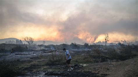 Senapred Mantiene Alerta Roja Para Valparaíso Por Incendio Forestal