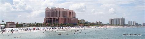 24 Hawaii Pink Sand Clearwater Beach Florida UK Dale A Clark