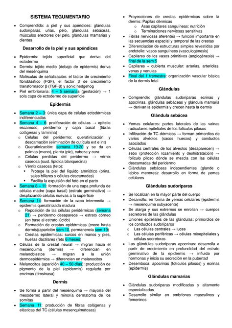 Resumen Embrio Sistema Tegumentario Sistema Tegumentario