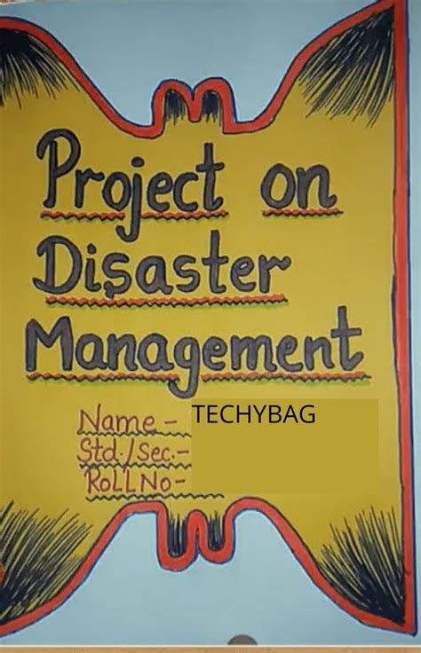 Learn About Disaster Management With Class Project Pdf