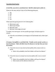 Sex Linked Traits Practice Docx Sex Linked Traits Practice In Fruit