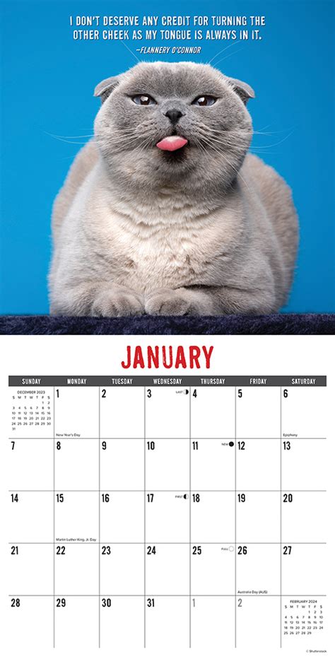 Bad Cat 2024 Calendar Hanny Ulrikaumeko