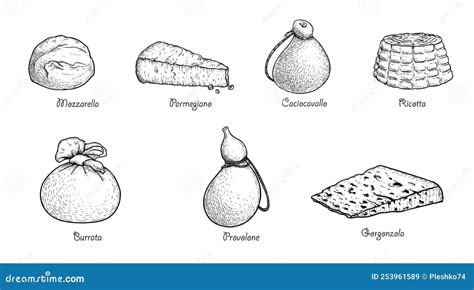 Hand Drawn Sketch Style Cheese Set Traditional Itailan Cheese