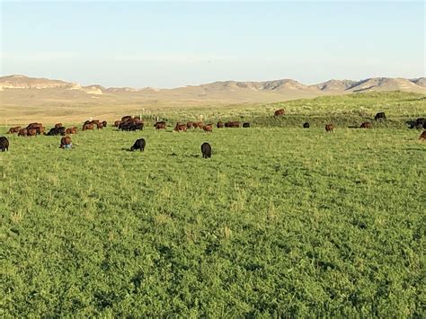 Weekes Ranch Hayden Outdoors