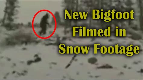 New Bigfoot Filmed In Snow Footage Is This A Saquatch Youtube