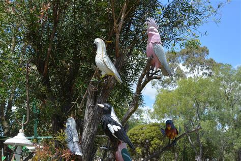 Mt Garnet 1 TRC Tablelands Regional Council