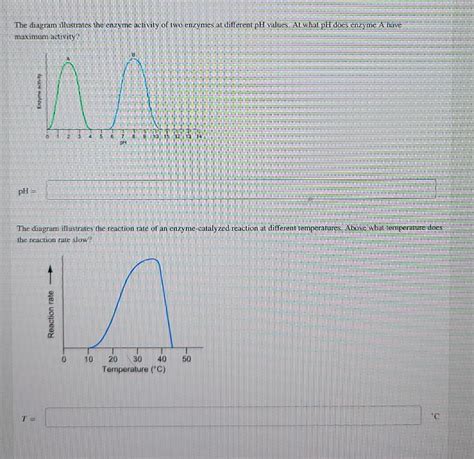 Solved The diagram illustrates the enzyme activity of two | Chegg.com